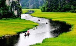 Hanoi - Tam Coc - Halong bay overnight on Cruise 5 Days